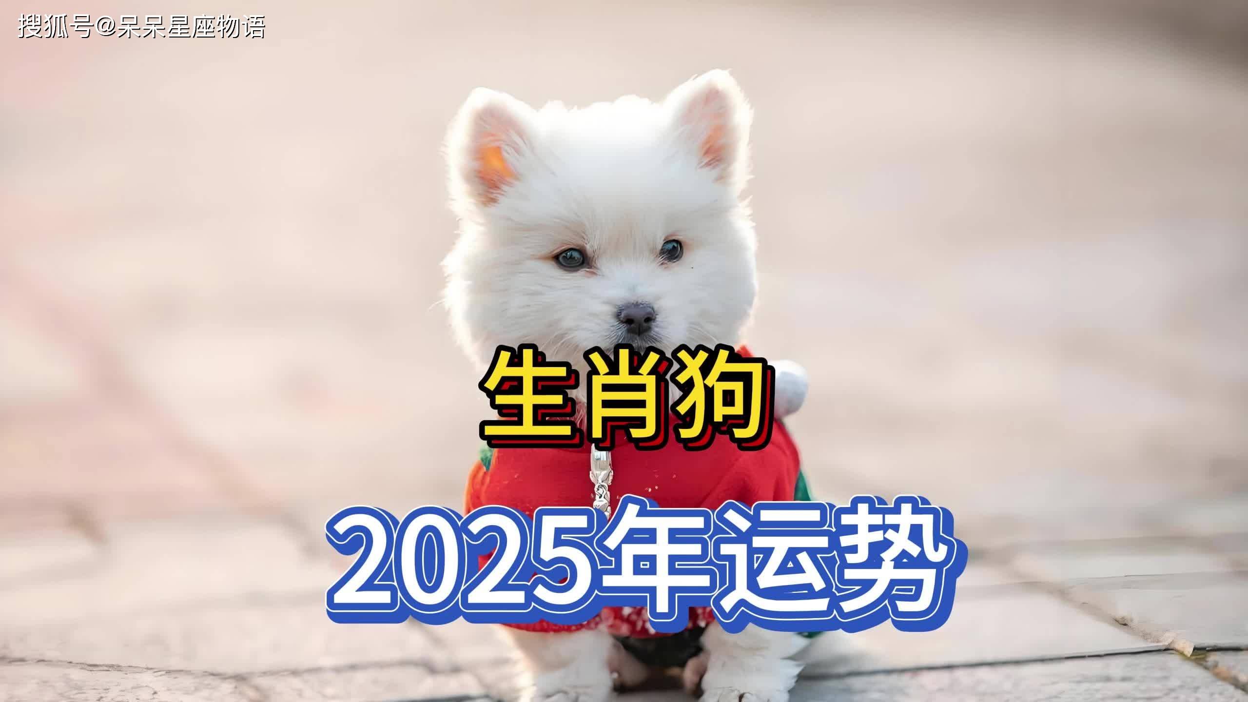 科普展现:狗今日运势（7o年狗今日运势）