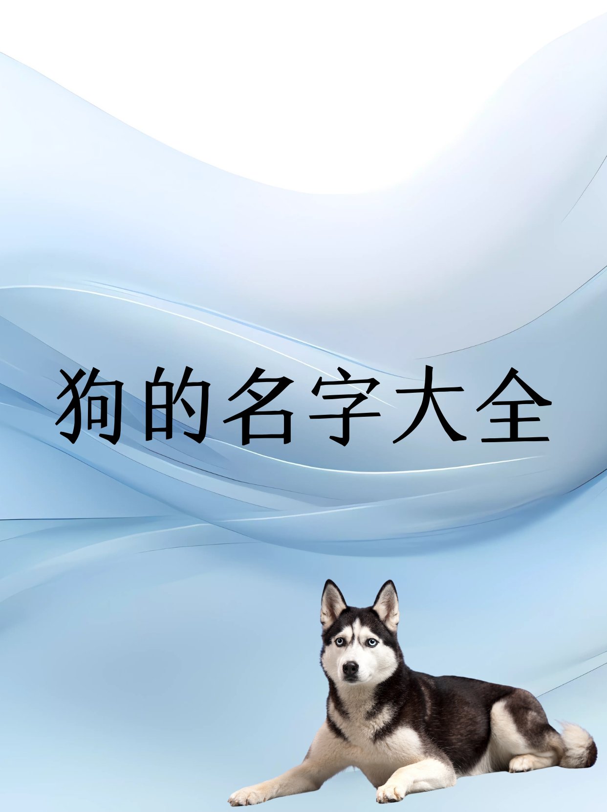 科普展现:小狗名字（小狗名字叫什么好）