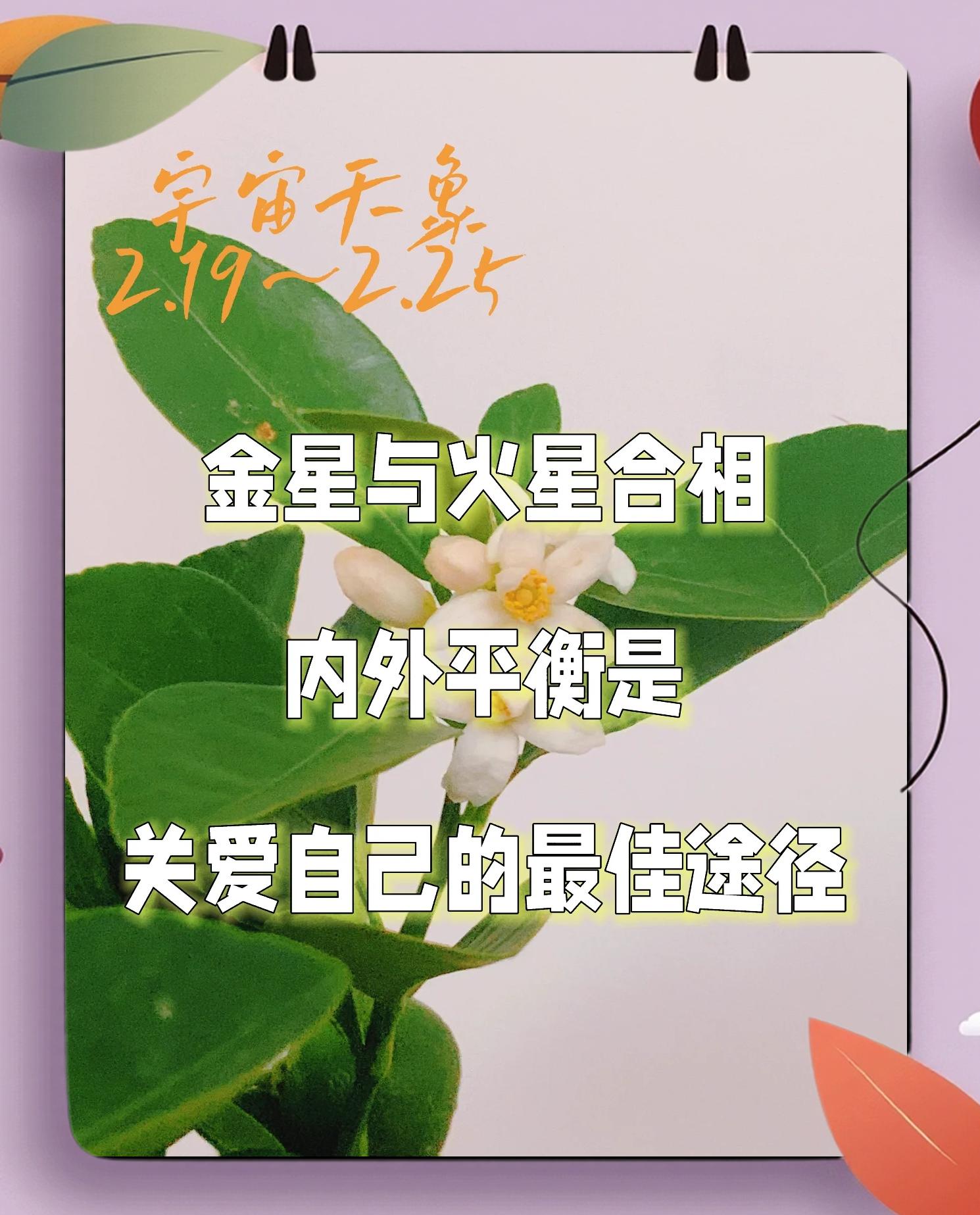 星座水星金星火星怎么看