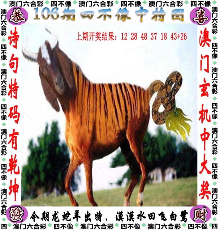 澳门995论坛6肖6码资料