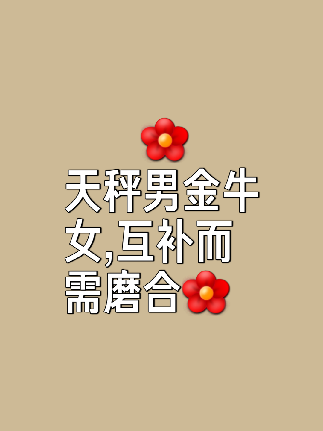 金牛男射手女合适吗
