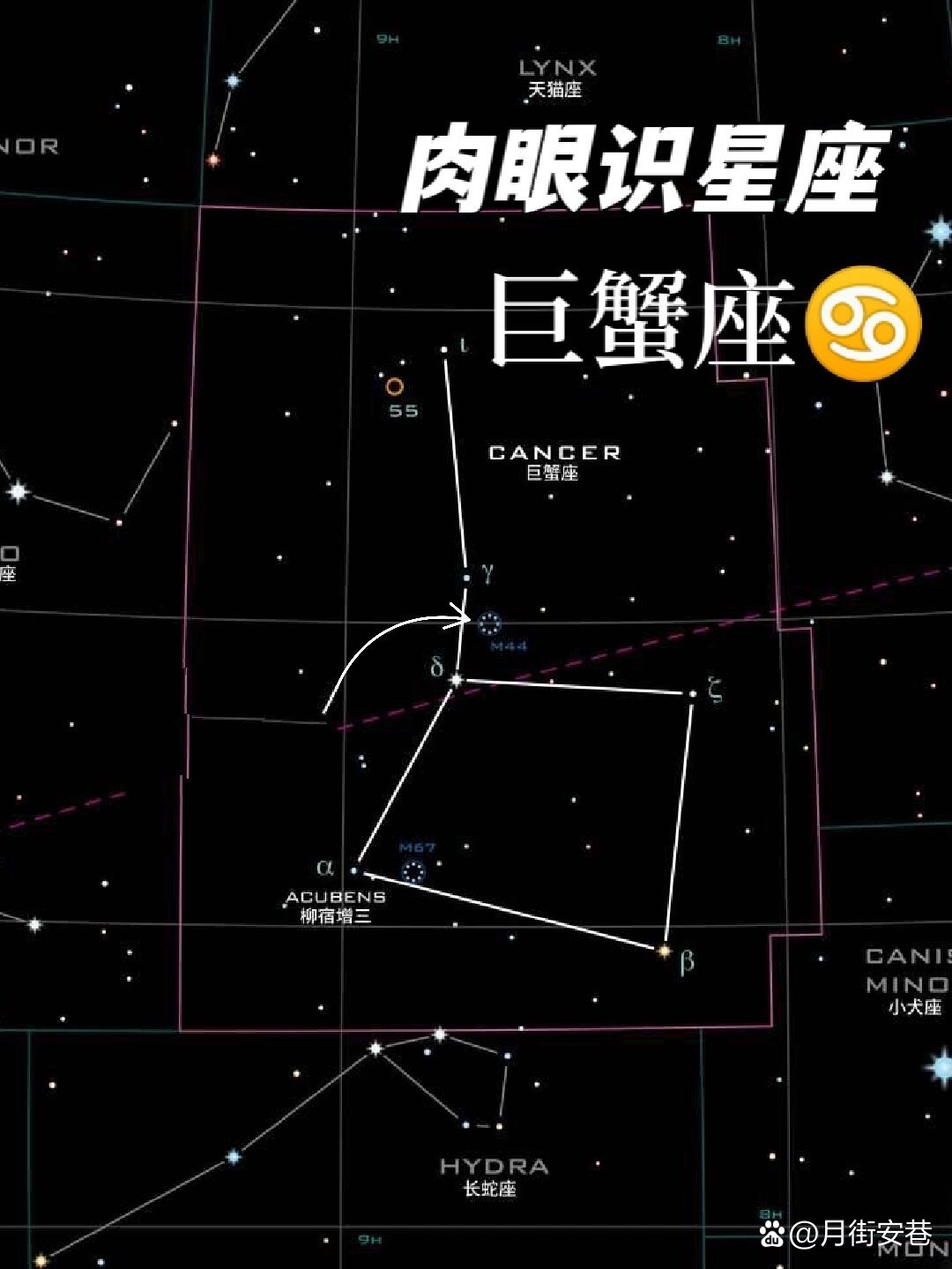怎么看星座落入第几宫