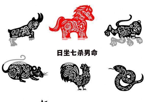日坐七杀男命