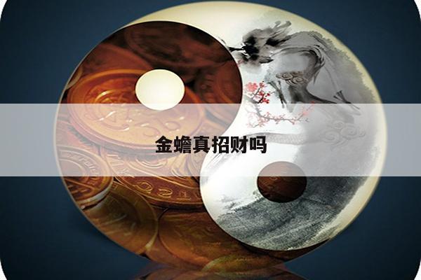 金蟾真招财吗