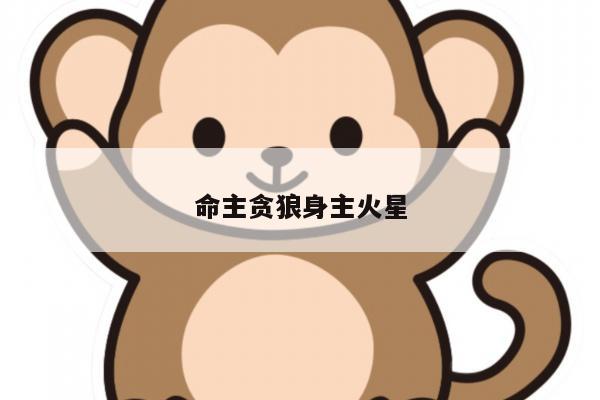 命主贪狼身主火星