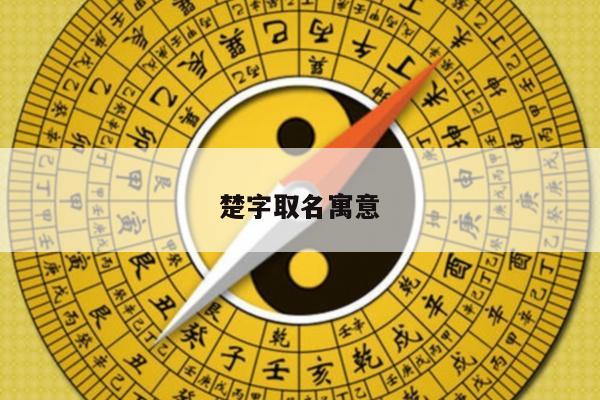 楚字取名寓意