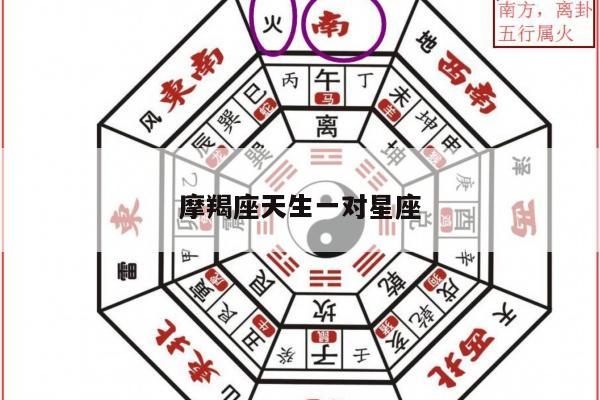 摩羯座天生一对星座