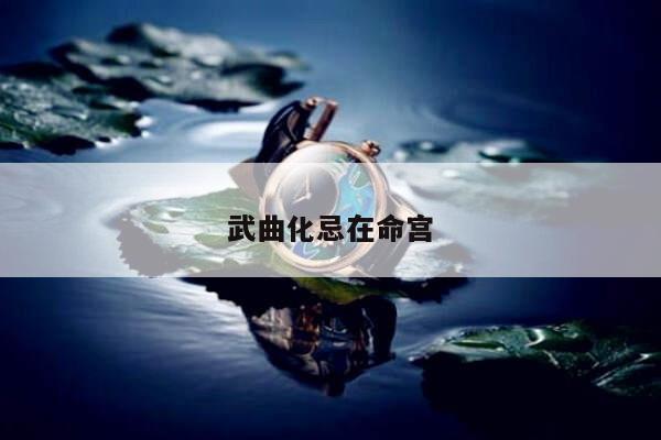 武曲化忌在命宫