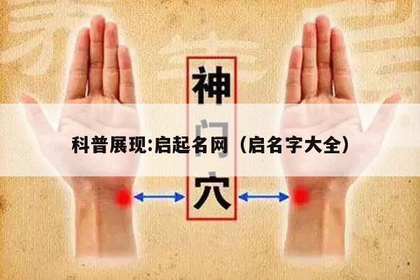 科普展现:启起名网（启名字大全）