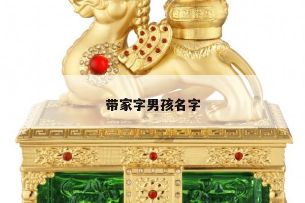 带家字男孩名字