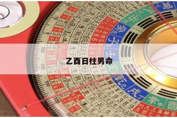 乙酉日柱男命
