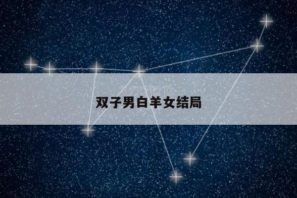 双子男白羊女结局