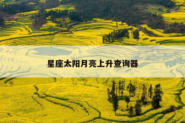 星座太阳月亮上升查询器
