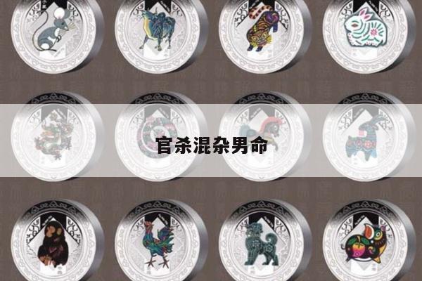 官杀混杂男命
