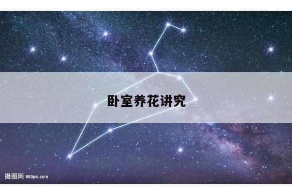 卧室养花讲究