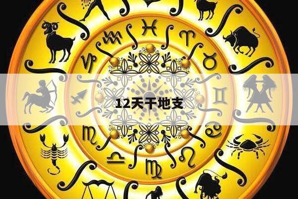 12天干地支