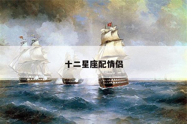 十二星座配情侣