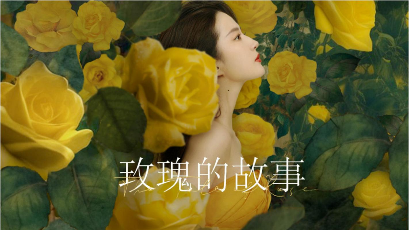 玫瑰的故事电视剧在线观看星辰影院,玫瑰的故事电视剧在线观看星辰影院免费