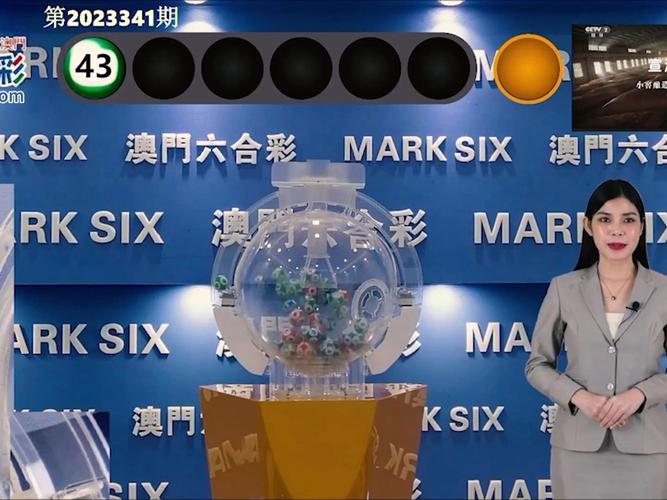 澳门王中王精准资料图片,全四年老玩家心得澳门王中王