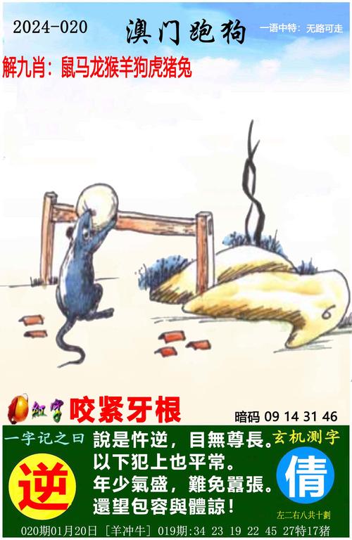 王中王心水精准资料大全,王中王心水精选资料论坛t1