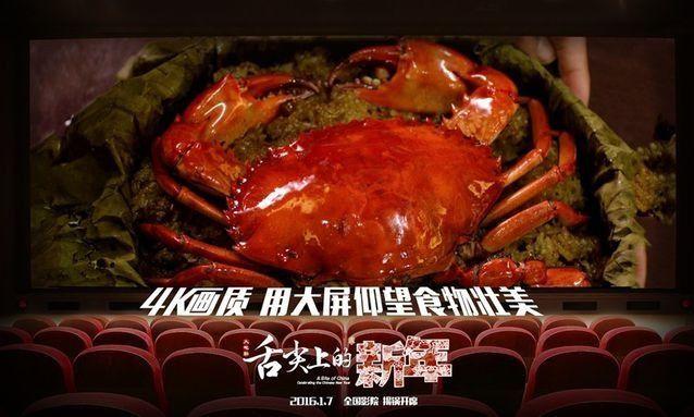 电影舌尖上的新年,电影舌尖上的新年免费观看