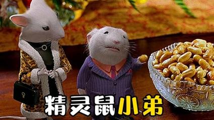 精灵鼠小弟2普通话版国语,精灵鼠小弟2国语hd